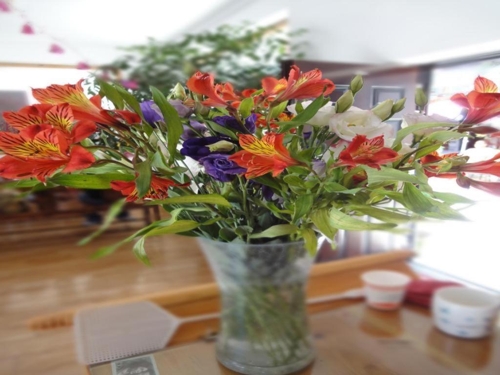 Dali Four Season Flower Inn דאלי מראה חיצוני תמונה